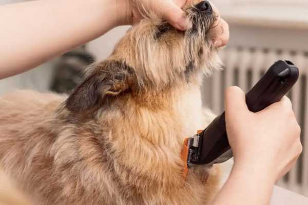 Maszynka do strzyżenia zwierząt Wahl Colour Pro Cordless Pet 3027682